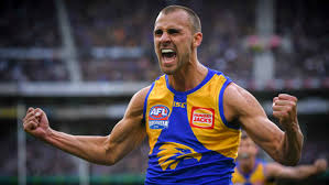 dom sheed